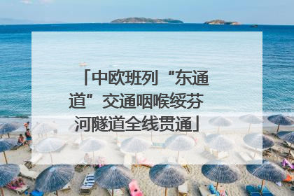 中欧班列“东通道”交通咽喉绥芬河隧道全线贯通