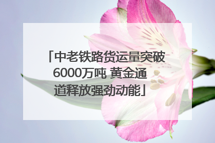 中老铁路货运量突破6000万吨 黄金通道释放强劲动能