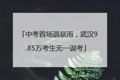 中考首场遇暴雨，武汉9.85万考生无一误考
