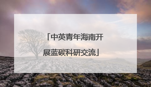 中英青年海南开展蓝碳科研交流