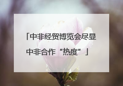 中非经贸博览会尽显中非合作“热度”