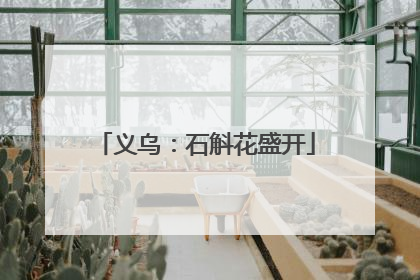 义乌：石斛花盛开