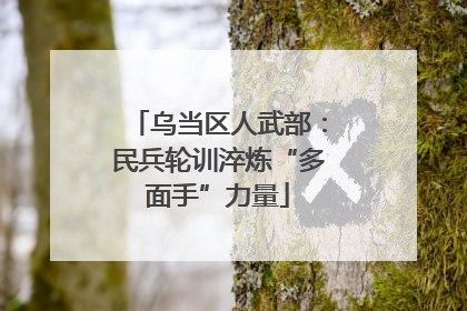 乌当区人武部：民兵轮训淬炼“多面手”力量