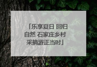 乐享夏日 回归自然 石家庄乡村采摘游正当时