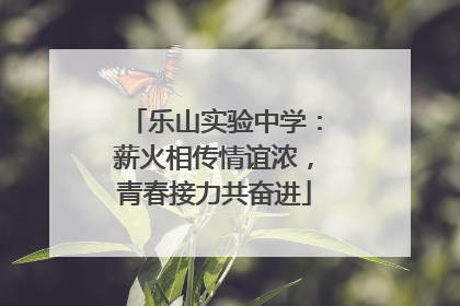 乐山实验中学：薪火相传情谊浓，青春接力共奋进