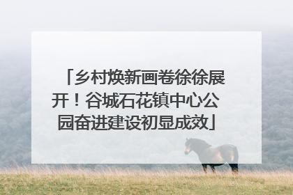 乡村焕新画卷徐徐展开！谷城石花镇中心公园奋进建设初显成效