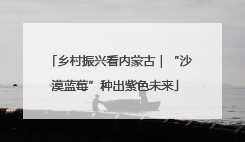 乡村振兴看内蒙古｜“沙漠蓝莓”种出紫色未来