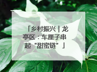 乡村振兴｜龙亭区：车厘子串起“甜蜜链”