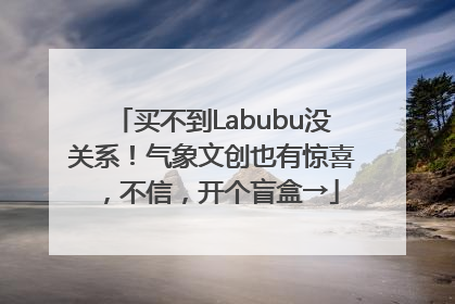 买不到Labubu没关系！气象文创也有惊喜，不信，开个盲盒→