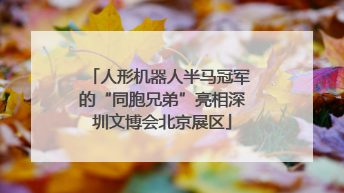 人形机器人半马冠军的“同胞兄弟”亮相深圳文博会北京展区