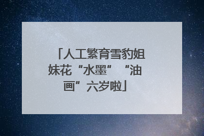 人工繁育雪豹姐妹花“水墨”“油画”六岁啦