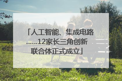 人工智能、集成电路……12家长三角创新联合体正式成立