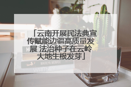 云南开展民法典宣传赋能边疆高质量发展 法治种子在云岭大地生根发芽