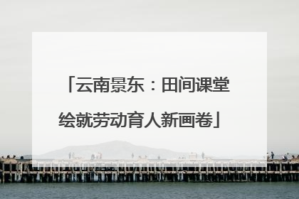 云南景东：田间课堂绘就劳动育人新画卷