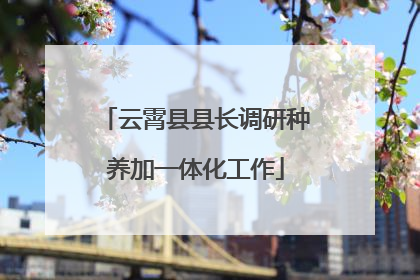 云霄县县长调研种养加一体化工作