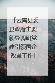 云霄县委县政府主要领导调研党建引领国企改革工作