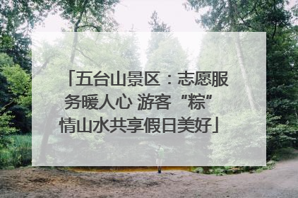 五台山景区：志愿服务暖人心 游客“粽”情山水共享假日美好