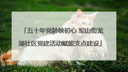 五十年党龄映初心 军山街龙湖社区党建活动赋能支点建设