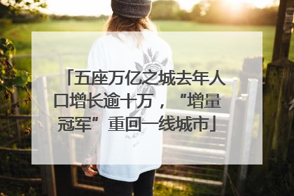 五座万亿之城去年人口增长逾十万，“增量冠军”重回一线城市