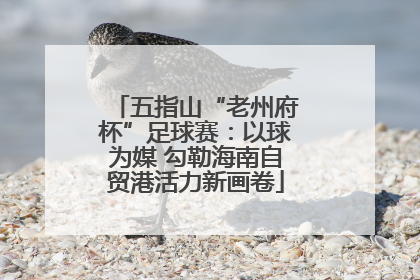 五指山“老州府杯”足球赛：以球为媒 勾勒海南自贸港活力新画卷