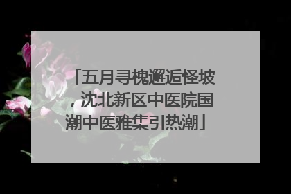 五月寻槐邂逅怪坡，沈北新区中医院国潮中医雅集引热潮