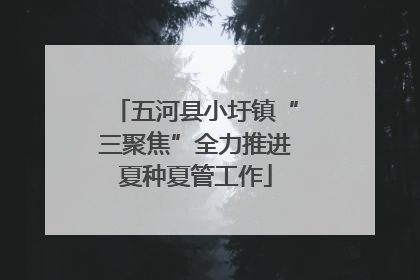 五河县小圩镇“三聚焦”全力推进夏种夏管工作