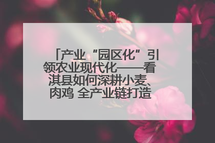 产业“园区化”引领农业现代化——看淇县如何深耕小麦、肉鸡 全产业链打造现代农业产业园