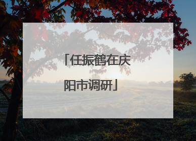 任振鹤在庆阳市调研