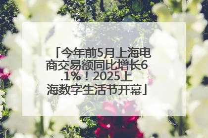 今年前5月上海电商交易额同比增长6.1%！2025上海数字生活节开幕