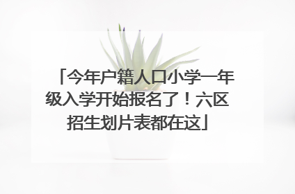 今年户籍人口小学一年级入学开始报名了！六区招生划片表都在这