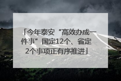 今年泰安“高效办成一件事”国定12个、省定2个事项正有序推进
