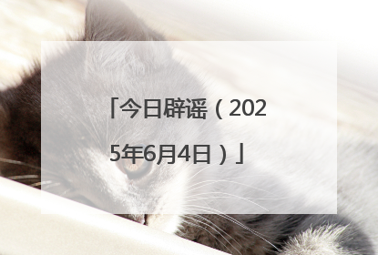 今日辟谣（2025年6月4日）
