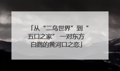 从“二鸟世界”到“五口之家” 一对东方白鹳的黄河口之恋