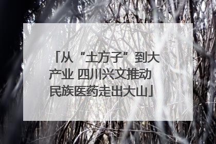 从“土方子”到大产业 四川兴文推动民族医药走出大山