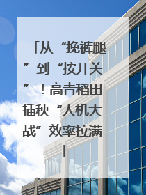 从“挽裤腿”到“按开关”！高青稻田插秧“人机大战”效率拉满