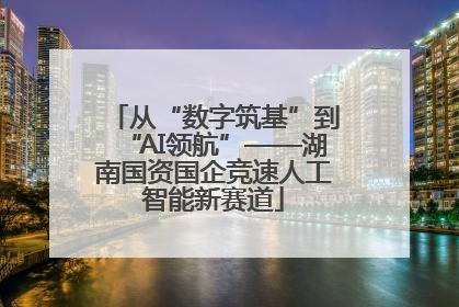 从“数字筑基”到“AI领航”——湖南国资国企竞速人工智能新赛道