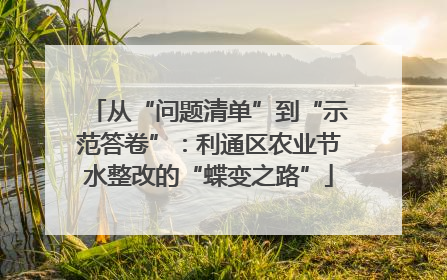 从“问题清单”到“示范答卷”：利通区农业节水整改的“蝶变之路”