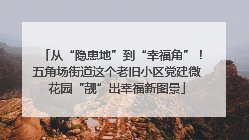 从“隐患地”到“幸福角”！五角场街道这个老旧小区党建微花园“靓”出幸福新图景