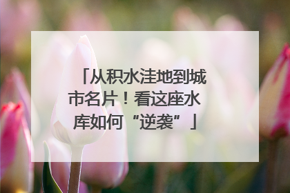 从积水洼地到城市名片！看这座水库如何“逆袭”