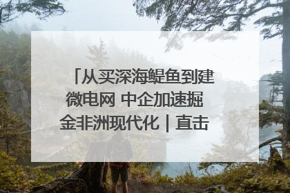 从买深海鳀鱼到建微电网 中企加速掘金非洲现代化｜直击中非经贸博览会