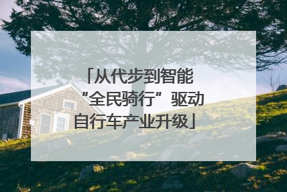 从代步到智能 “全民骑行”驱动自行车产业升级