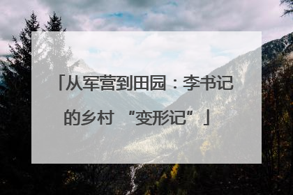 从军营到田园：李书记的乡村 “变形记”