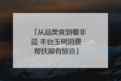 从品美食到看非遗 丰台玉树消费帮扶展有惊喜