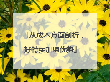 从成本方面剖析，好特卖加盟优势