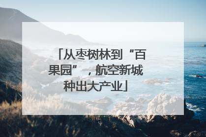 从枣树林到“百果园”，航空新城种出大产业