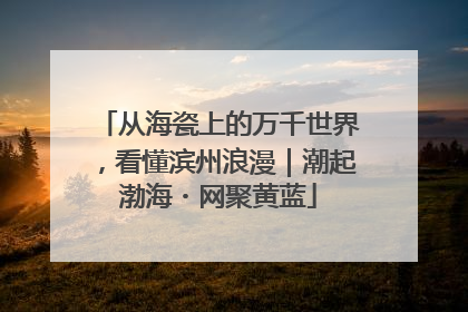从海瓷上的万千世界，看懂滨州浪漫｜潮起渤海・网聚黄蓝