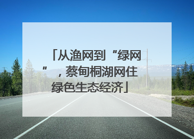 从渔网到“绿网”，蔡甸桐湖网住绿色生态经济