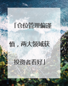 仓位管理偏谨慎，两大领域获投资者看好