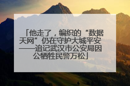 他走了，编织的“数据天网”仍在守护大城平安——追记武汉市公安局因公牺牲民警万松