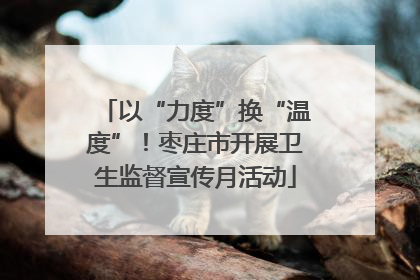 以“力度”换“温度”！枣庄市开展卫生监督宣传月活动